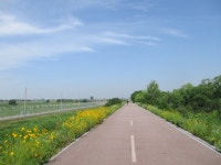 6월12일 내리-안성천(평택섶길 2~2-1코스=3) - 산신령 산행사진 (2013년~) - 산신령(mountain photos) 6월12일 내리-안성천(평택섶길 2~2... 