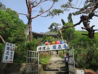 5월 8일 임도5거리(군포수릿길 1~14코스-2) - 산신령 산행사진... 산신령(mountain photos) 5월 8일 임도5거리(군포수릿길 1~14코스-2)