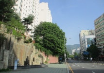 5월 8일 임도5거리(군포수릿길 1~14코스-2) - 산신령 산행사진... 산신령(mountain photos) 5월 8일 임도5거리(군포수릿길 1~14코스-2)