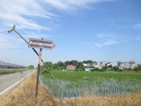 6월12일 내리-안성천(평택섶길 2~2-1코스=3) - 산신령 산행사진 (2013년~) - 산신령(mountain photos) 6월12일 내리-안성천(평택섶길 2~2... 