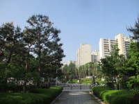 5월 8일 임도5거리(군포수릿길 1~14코스-2) - 산신령 산행사진... 산신령(mountain photos) 5월 8일 임도5거리(군포수릿길 1~14코스-2)