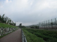 8월 7일 점촌천-진위천(평택섶길 8~11코스=11) - 산신령... 산신령(mountain photos) 8월 7일 점촌천-진위천(평택섶길 8~11코스=11)