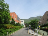 5월 8일 임도5거리(군포수릿길 1~14코스-2) - 산신령 산행사진... 산신령(mountain photos) 5월 8일 임도5거리(군포수릿길 1~14코스-2)