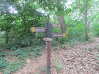 7월 7일 무성산-약사사(평택섶길 5-1코스=7) - 산신령 산행사진... 산신령(mountain photos) 7월 7일 무성산-약사사(평택섶길 5-1코스=7)