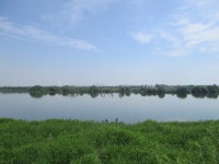 6월12일 내리-안성천(평택섶길 2~2-1코스=3) - 산신령 산행사진 (2013년~) - 산신령(mountain photos) 6월12일 내리-안성천(평택섶길 2~2... 