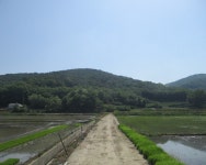 5월16일 문수산-애기봉(경기둘레길-2코스=김포시) - 산신령 산행사진 (2017년 4월~) - 김포 산신령 5월16일 문수산-애기봉(경기둘레길-2코스... 