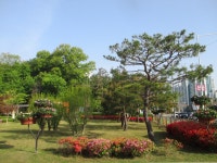 5월 8일 임도5거리(군포수릿길 1~14코스-2) - 산신령 산행사진... 산신령(mountain photos) 5월 8일 임도5거리(군포수릿길 1~14코스-2)