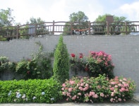 6월12일 내리-안성천(평택섶길 2~2-1코스=3) - 산신령 산행사진 (2013년~) - 산신령(mountain photos) 6월12일 내리-안성천(평택섶길 2~2... 