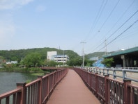 5월13일 초막골-갈치저수지-반월호수(군포수릿길 1~14코스-3)... photos) 5월13일 초막골-갈치저수지-반월호수(군포수릿길 1~14코스-3)