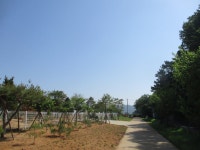 5월16일 문수산-애기봉(경기둘레길-2코스=김포시) - 산신령 산행사진 (2017년 4월~) - 김포 산신령 5월16일 문수산-애기봉(경기둘레길-2코스... 