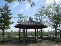 6월12일 내리-안성천(평택섶길 2~2-1코스=3) - 산신령 산행사진 (2013년~) - 산신령(mountain photos) 6월12일 내리-안성천(평택섶길 2~2... 