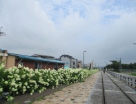 8월 7일 점촌천-진위천(평택섶길 8~11코스=11) - 산신령... 산신령(mountain photos) 8월 7일 점촌천-진위천(평택섶길 8~11코스=11)