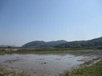 5월16일 문수산-애기봉(경기둘레길-2코스=김포시) - 산신령 산행사진 (2017년 4월~) - 김포 산신령 5월16일 문수산-애기봉(경기둘레길-2코스... 