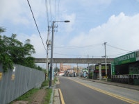 8월 7일 점촌천-진위천(평택섶길 8~11코스=11) - 산신령... 산신령(mountain photos) 8월 7일 점촌천-진위천(평택섶길 8~11코스=11)