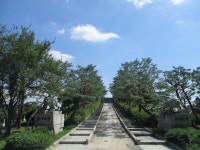 7월12일 서달산-서울현충원(동작충효길-2코스=동작구) - 산신령 산행사진 (2017년 4월~) - 김포 산신령 7월12일 서달산-서울현충원(동작충효길... 