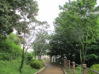 8월 7일 점촌천-진위천(평택섶길 8~11코스=11) - 산신령... 산신령(mountain photos) 8월 7일 점촌천-진위천(평택섶길 8~11코스=11)