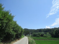 8월 7일 점촌천-진위천(평택섶길 8~11코스=11) - 산신령... 산신령(mountain photos) 8월 7일 점촌천-진위천(평택섶길 8~11코스=11)