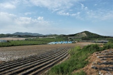 옥룡지맥(옥룡지맥 분기점=＞옥룡산=＞영산강/몽탄나루) - 윤종국님(16)... 총동문회 옥룡지맥(옥룡지맥 분기점=＞옥룡산=＞영산강/몽탄나루)