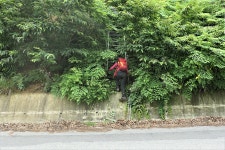 칠갑지맥(칠갑지맥 분기점=＞칠갑산=＞지천/금강 합수점) - 윤종국님(16) 카페★ - 와수초등학교 총동문회 칠갑지맥(칠갑지맥 분기점=＞칠갑산... 