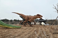 화원지맥 2구간(송호리 버스정류장=＞일성산=＞목포구등대) - 윤종국님(16) 카페★ - 와수초등학교 총동문회 화원지맥 2구간(송호리 버스정류장... 