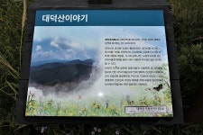 금대지맥 1구간(금대지맥 분기점=＞금대봉=＞비슬이재) - 윤종국님(16) 카페★ - 와수초등학교 총동문회 금대지맥 1구간(금대지맥 분기점... 