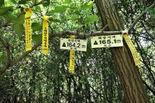 화왕지맥(화왕지맥 분기점=＞화왕산=＞남지대교) - 윤종국님(16) 카페★ - 와수초등학교 총동문회 화왕지맥(화왕지맥 분기점=＞화왕산=＞남지대교)