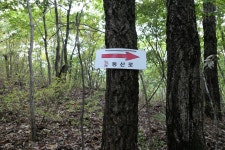 죽렴지맥 2구간(마차재=＞고고산=＞진탄나루터) - 윤종국님(16) 카페★ - 와수초등학교 총동문회 죽렴지맥 2구간(마차재=＞고고산=＞진탄나루터)