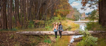 무료로 즐기는 천년의 숲이 살아 숨 쉬는 곳 메타세쿼이아 숲길 따라 걷는 단풍 명소 - 국내여행정보-부산,영남권 - 아는만큼느낀다 