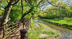 550년 지켜온 숲, 이제 걸을 수 있어요 5060분들 가볍게 걷는 3km 힐링 산책길 - 여행을 떠나요 - 현대산업개발건축동우회 