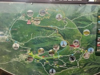 제454차 정기산행 비슬산 - 정기산행 대표앨범 - 진잠새마을금고산악회since1995 제454차 정기산행 비슬산