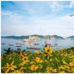 장평 세탁 방문 수거배달 - .................수거배달 - 거제세탁 토탈크리닝 장평 세탁 방문 수거배달