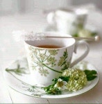 옷정리와 보관법 - .................공지사항 - 거제세탁 토탈크리닝 옷정리와 보관법