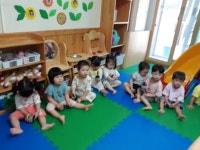 ☆특별활동＜뮤직컴＜동화이야기 - 별빛반 - 사랑해어린이집♡ ☆특별활동＜뮤직컴＜동화이야기