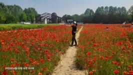수원시민농장(옛 서울농대) - 수원 서둔동 - 공원 - 하늘색 배낭구경 수원시민농장(옛 서울농대) - 수원 서둔동