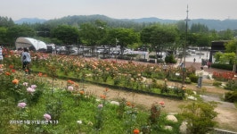 노적봉 ~ 광덕산(A) - 경기안산 - 경기도 - 하늘색 배낭구경 노적봉 ~ 광덕산(A) - 경기안산