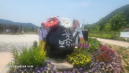 한탄강 가든페스타(A) - 경기포천 - 공원 - 하늘색 배낭구경 한탄강 가든페스타(A) - 경기포천