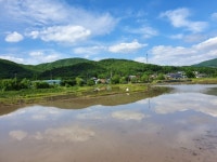 비온뒤 파주 광탄면 영장리 주말농장 전검 다녀왔네요 - 주 말 농 장 - 농수산물 공동구매(산과물) 비온뒤 파주 광탄면 영장리 주말농장 전검... 
