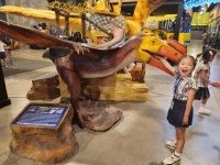 9월 17일 시흥공룡월드 다녀왔어요~! -1 - 만4세 들꽃향기반 - 세상의 중심 가온어린이집 9월 17일 시흥공룡월드 다녀왔어요~! -1