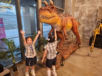 9월 17일 시흥공룡월드 다녀왔어요~! -1 - 만4세 들꽃향기반 - 세상의 중심 가온어린이집 9월 17일 시흥공룡월드 다녀왔어요~! -1