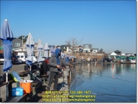 (일) 말봉바다낚시터 노지 조황사진입니다. - 2021년 조황정보 - 말봉사람들 2021년 12월5일(일) 말봉바다낚시터 노지 조황사진입니다.