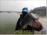 2022년 3월15일(화) 말봉바다낚시터 조황사진입니다. - 2022년 조황정보 - 말봉사람들 2022년 3월15일(화) 말봉바다낚시터 조황사진입니다.