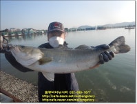 2022년 3월29일(화) 말봉바다낚시터 조황사진입니다. - 2022년 조황정보 - 말봉사람들 2022년 3월29일(화) 말봉바다낚시터 조황사진입니다.