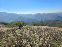 민둥산=6 - 제139차=10.12(민둥산) - *사니조아 민둥산=6