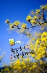 이래도 하루 - ―·····감동ノ좋은감동글 - 대한민국약초세상 이래도 하루