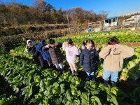 농장에 다녀왔어요(시연,주원,다영,승빈,보빈,두현,태경) - 온유반 이야기 - 사랑의열매어린이집 농장에 다녀왔어요(시연,주원,다영,승빈,보빈... 