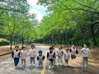 지혜반이야기❣️ - 지혜반 이야기 - 사랑의열매어린이집 지혜반이야기❣️