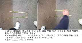 [2025.10.25] 제6차 군산우리숲탐험대 : 자연마당-월명산-청소년수련원 - 숲교육 - 전북생명의숲 [2025.10.25] 제6차 군산우리숲탐험대... 