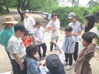 [2024. 5. 11] 제 2차 군산우리숲탐험대 : 군산 임피면 남산 - 숲교육 - 전북생명의숲 [2024. 5. 11] 제 2차 군산우리숲탐험대 : 군산 임피면 남산