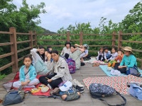 [2024. 5. 11] 제 2차 군산우리숲탐험대 : 군산 임피면 남산 - 숲교육 - 전북생명의숲 [2024. 5. 11] 제 2차 군산우리숲탐험대 : 군산 임피면 남산
