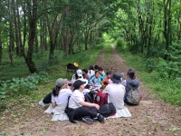 [2024. 5. 11] 제 2차 군산우리숲탐험대 : 군산 임피면 남산 - 숲교육 - 전북생명의숲 [2024. 5. 11] 제 2차 군산우리숲탐험대 : 군산 임피면 남산